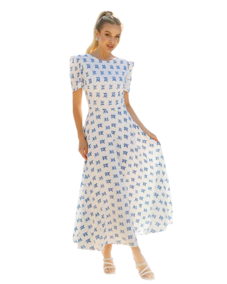 Women's Floral Print Staple Dress with Lining in Blue Flowers