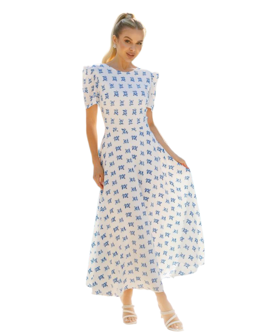 Women's Floral Print Staple Dress with Lining in Blue Flowers