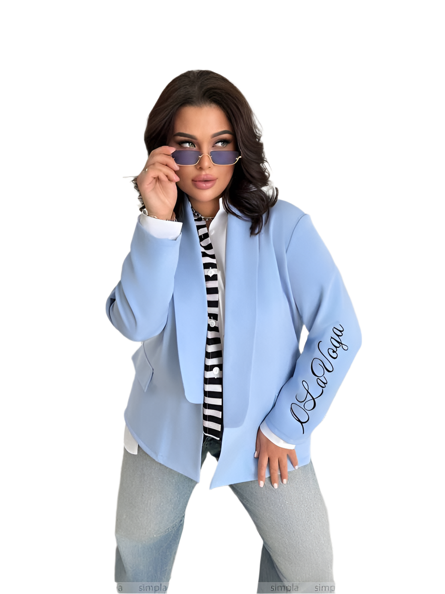 Lavender Blue Long Jacket with Sleeve Embroidery