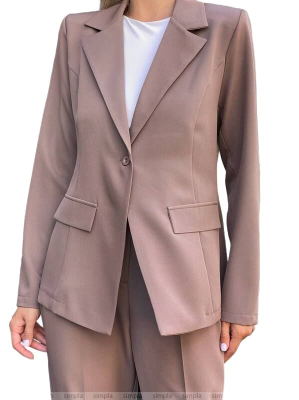 Brown suit jacket and pants on a white background