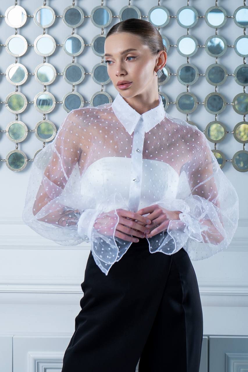 Person wearing a sheer white blouse with black pants against a decorative wall.