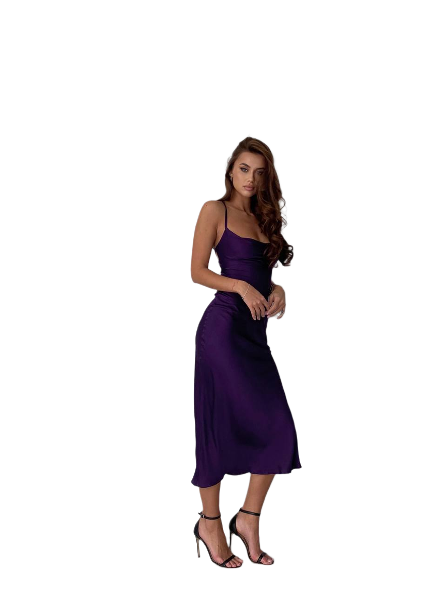 Ninel Midi Combination Purple Silk Dress for Women