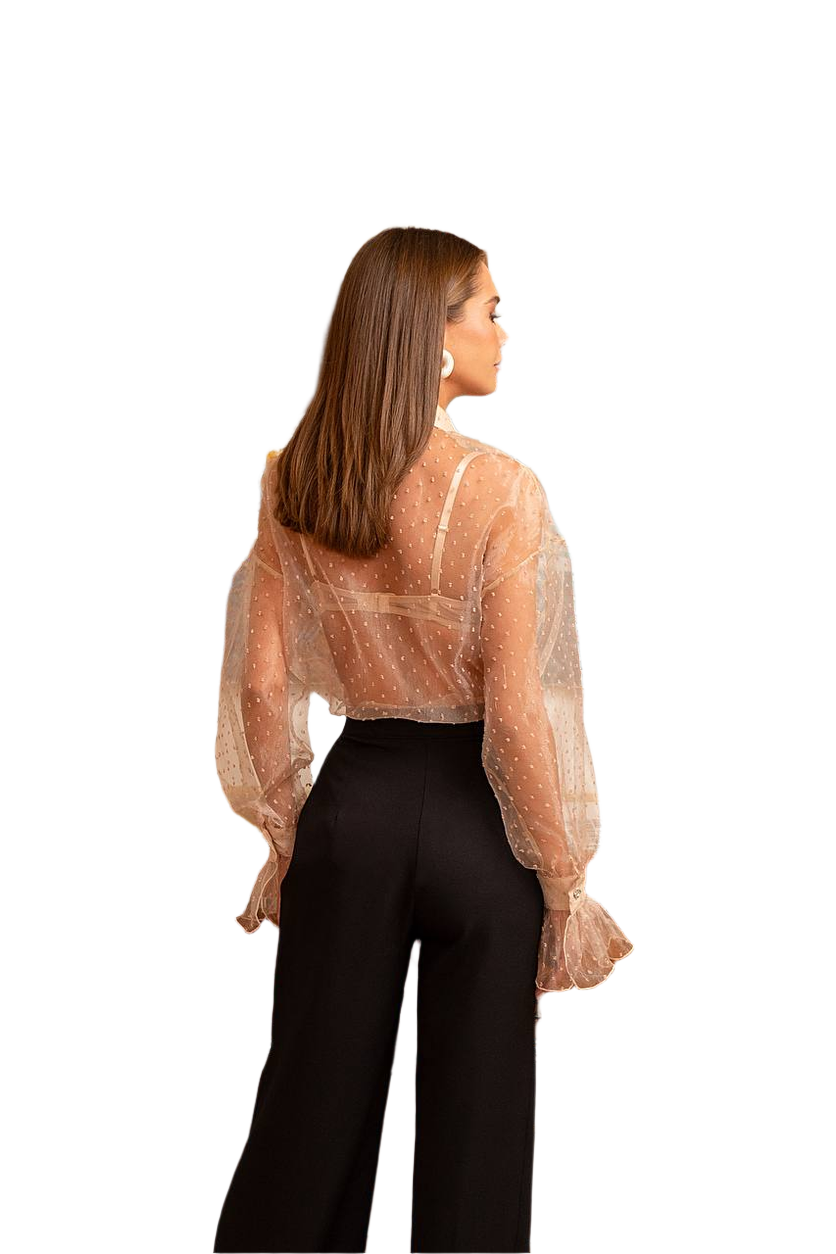 Woman wearing a sheer blouse with long sleeves and black pants on a white background