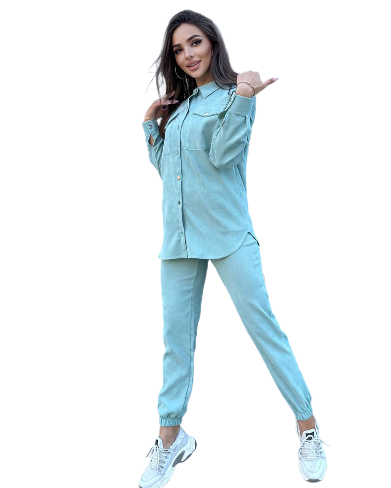 Micro Velvet Women Suit High Waist Pants with Elastic and Snap Button Shirt