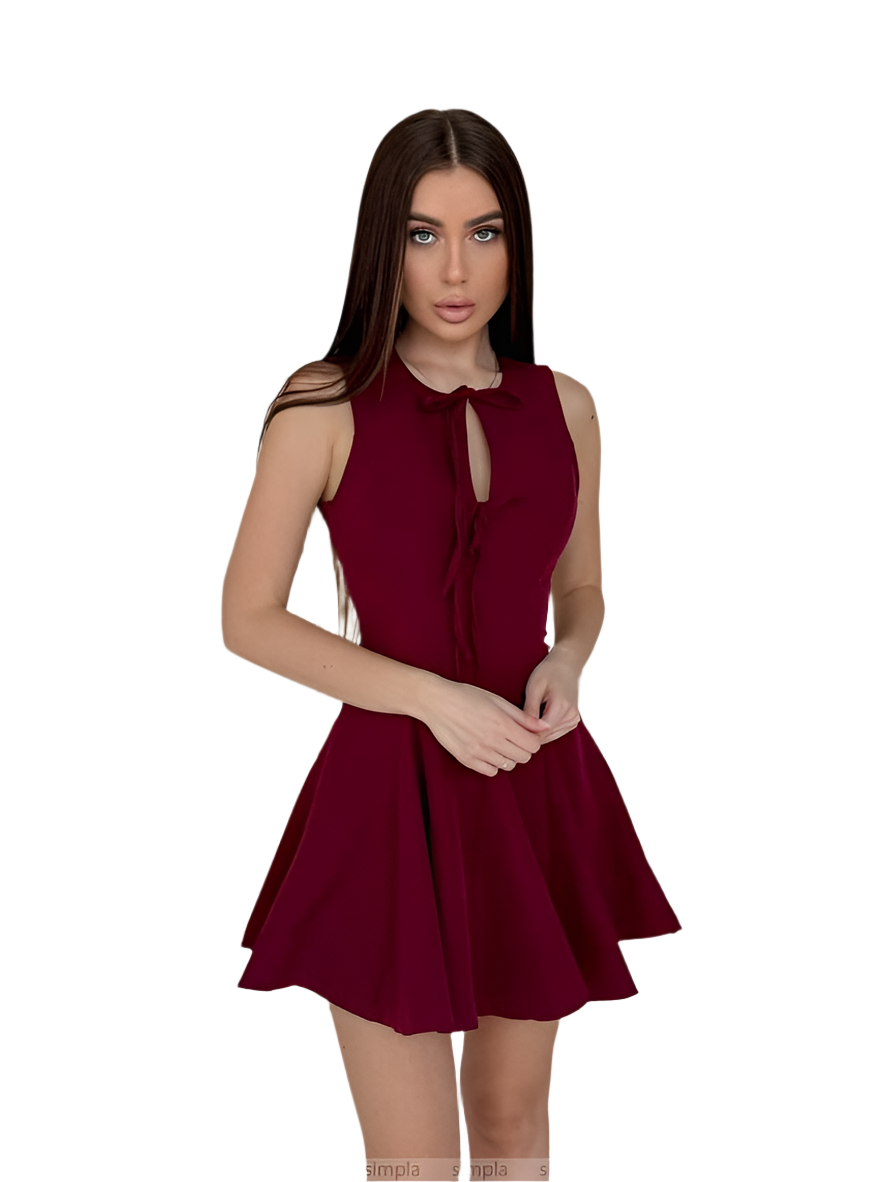 Stylish Burgundy Sleeveless Dress with Tie Detail