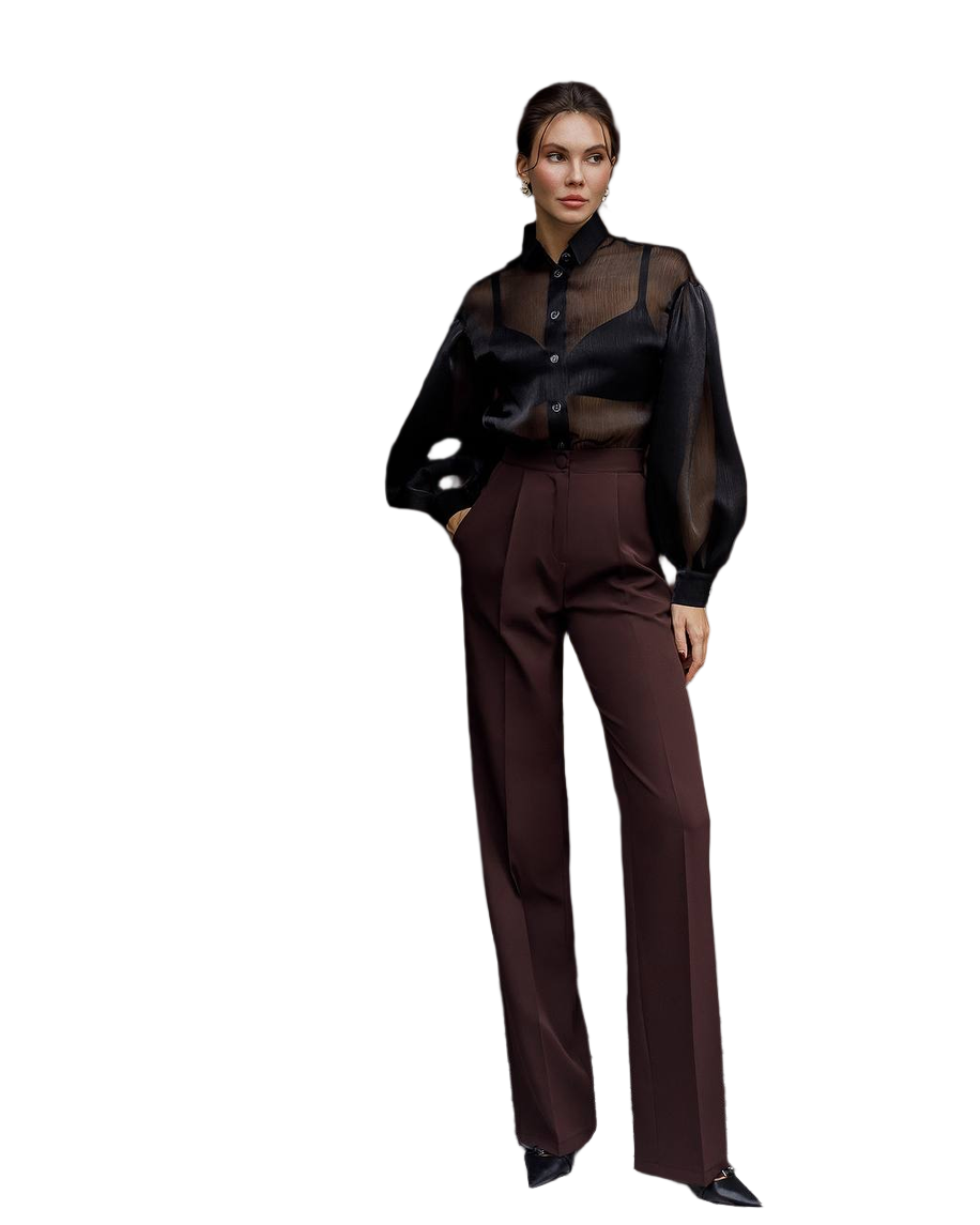 Elegant Women's Sheer Organza Blouse with Pleated Black and Smooth Milk Bases