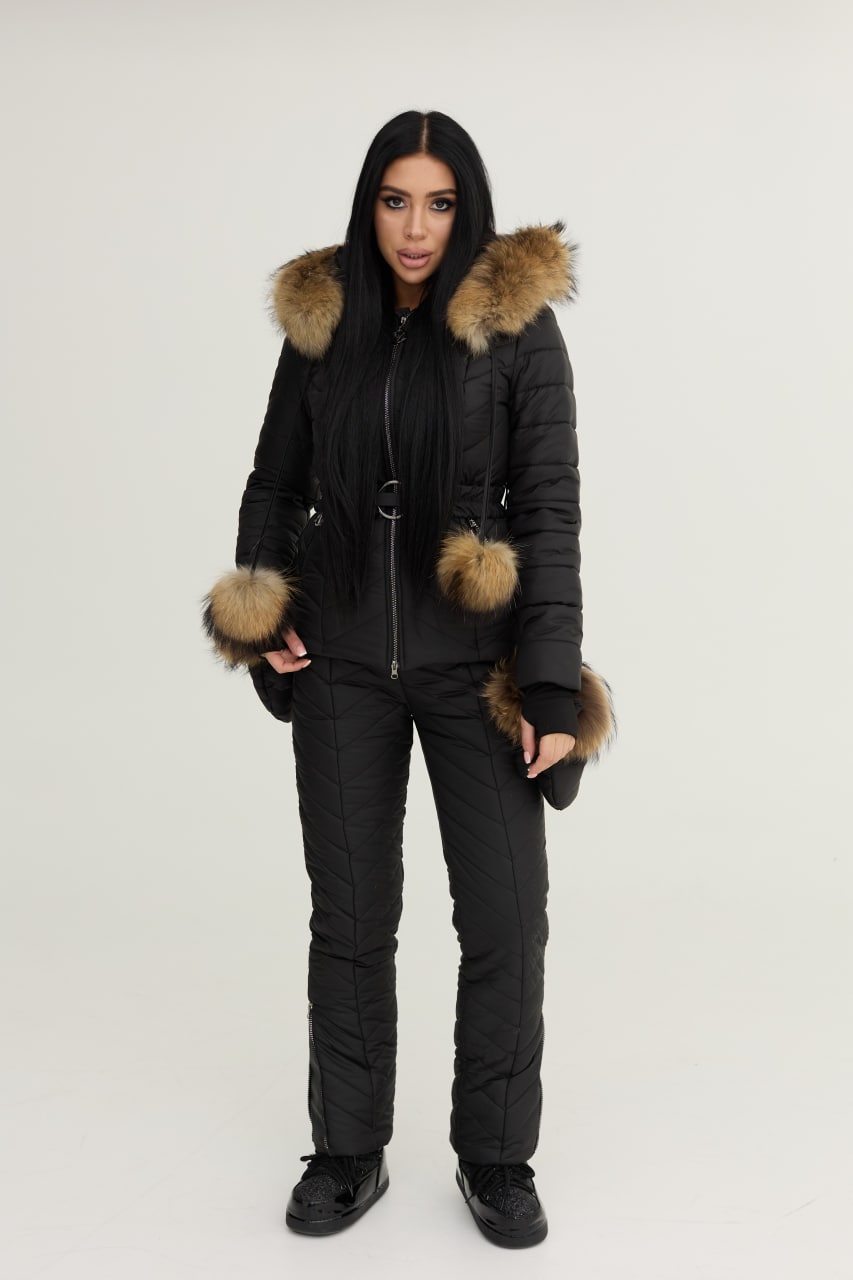 Person wearing a black winter coat with fur-lined hood on a white background