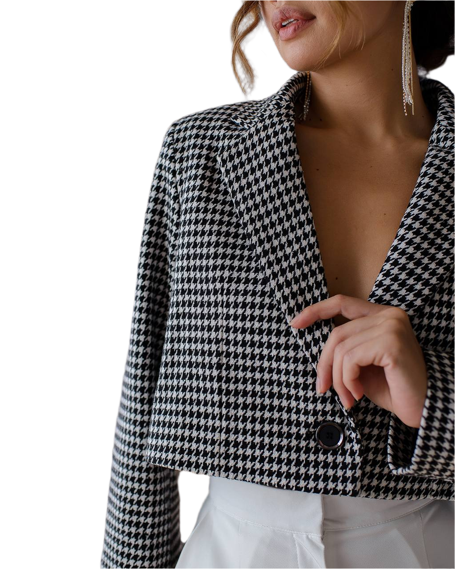 Houndstooth patterned blazer worn by a person on a white background