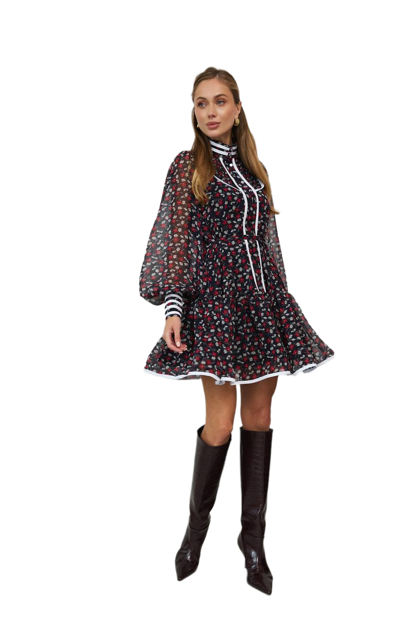 Iriska Women's Chiffon Floral Dress with Lining and Balloon Sleeves