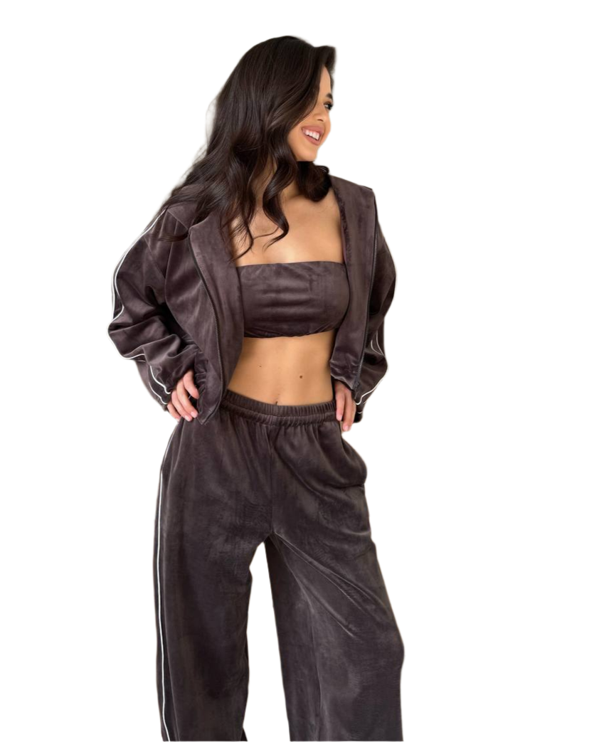Sport Chic Velour Knit Set for Women Cheez Soft Touch Sweatshirt and Pants