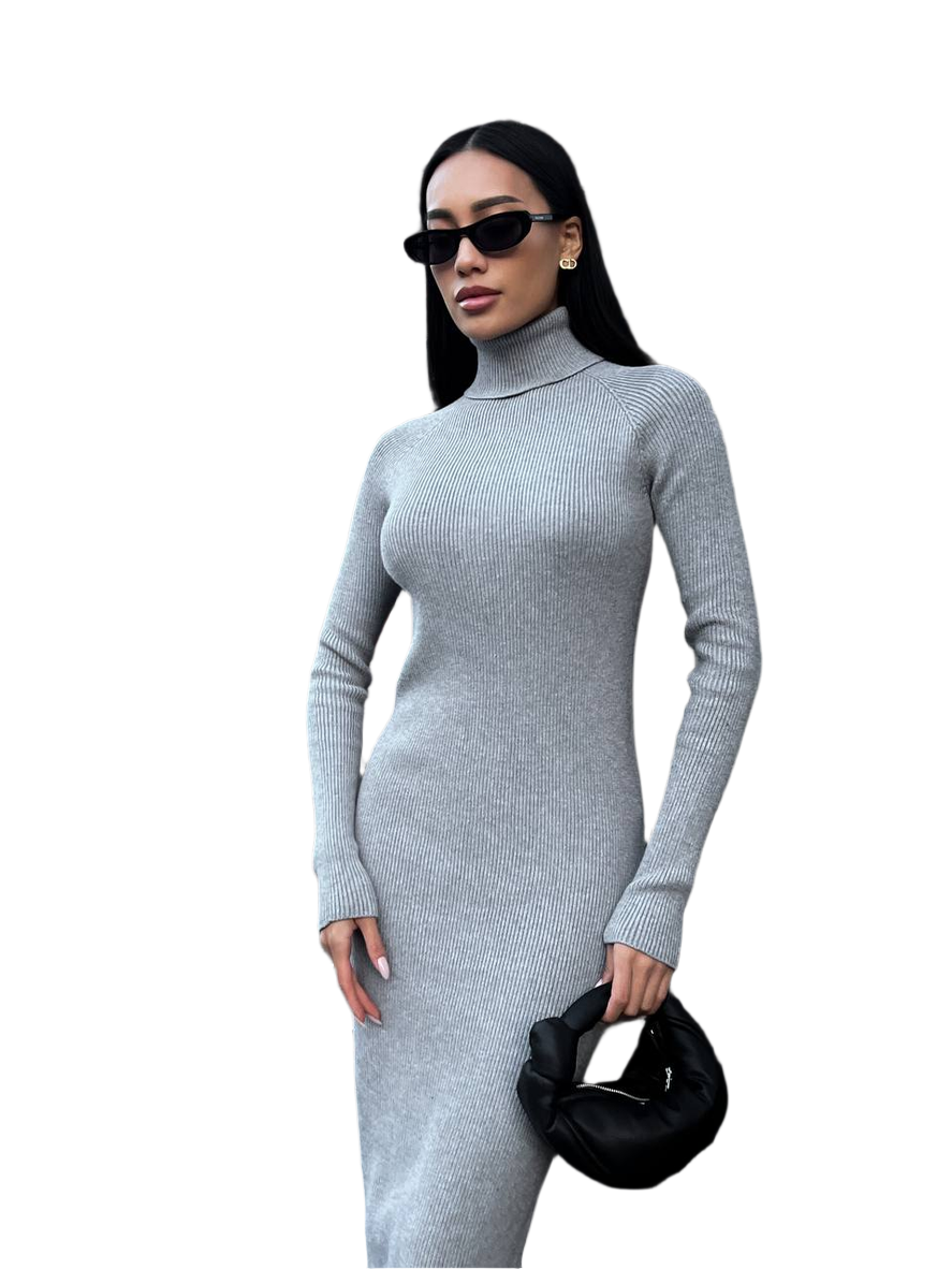 Woman wearing a gray long-sleeve dress on a white background