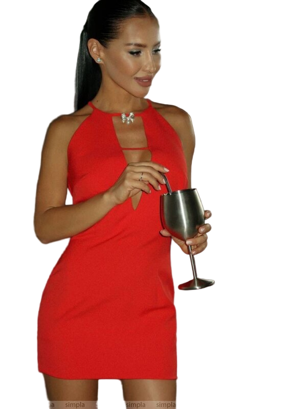 Woman in a red dress holding a silver shaker and wine glass on a white background