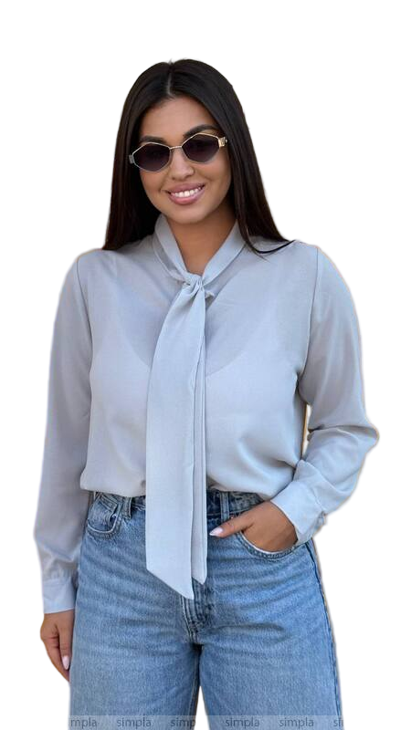 Light Grey Crepe Chiffon Blouse with Tie Collar