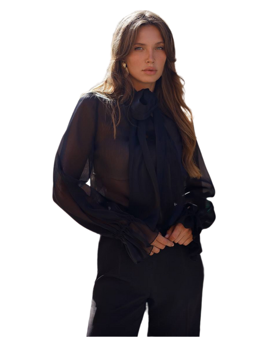 Elegant Black Organza Lux Blouse with Sheer Long Sleeves for Women