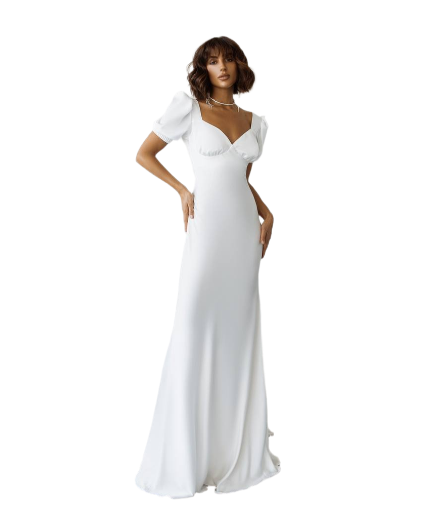 Natali Elegant Royal Satin Velvet Dress for Women