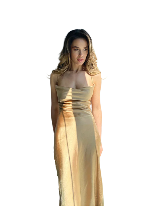 Ninel Women's Dense Italian Satin Dress Set