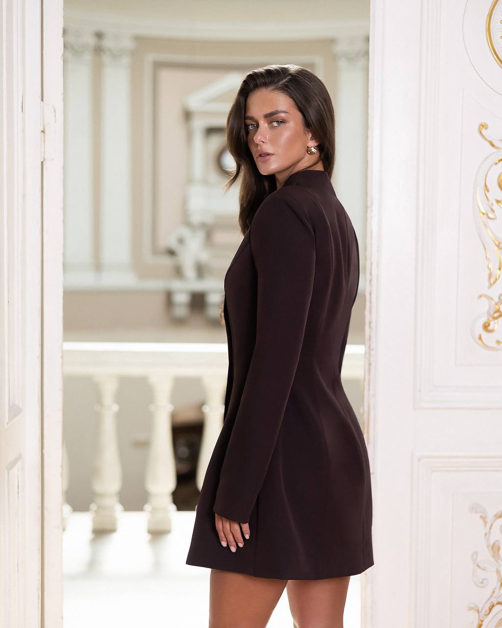 Woman in a dark brown dress standing in an elegant interior setting
