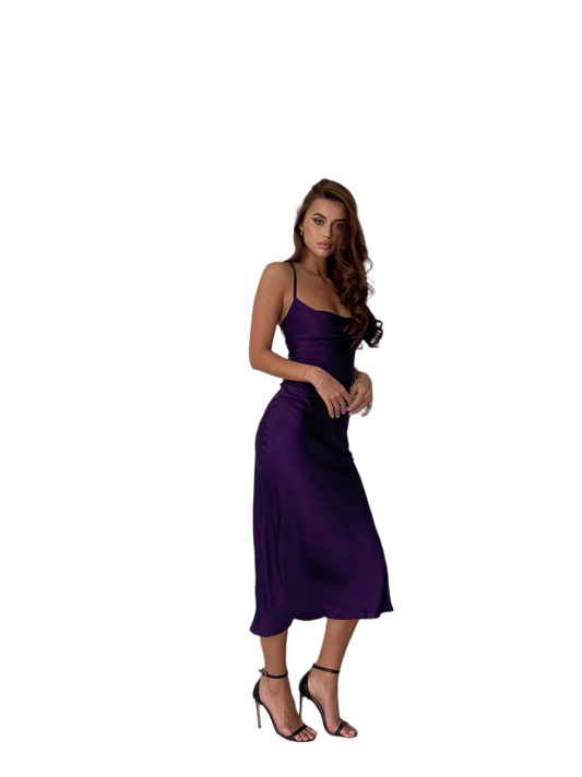 Ninel Midi Combination Purple Silk Dress for Women