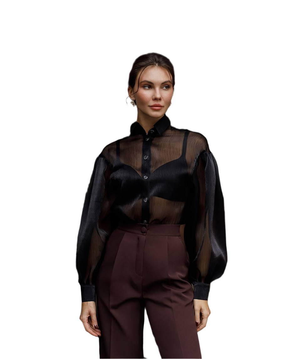 Elegant Women's Sheer Organza Blouse with Pleated Black and Smooth Milk Bases