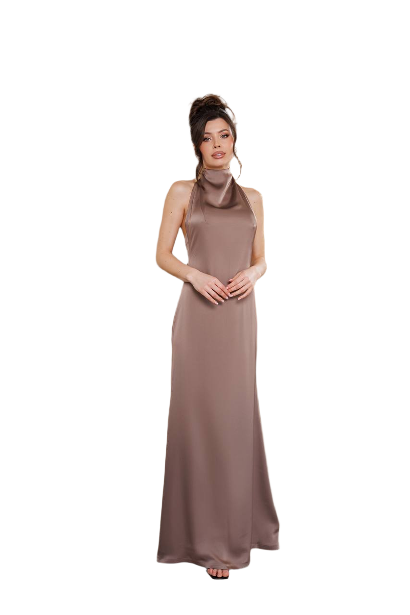 Elegant Long Satin Dress for Women in Cappuccino with High Neck