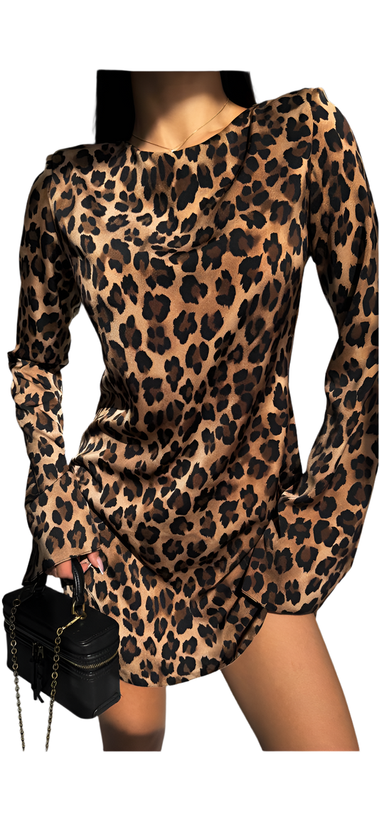 Leopard print dress with long sleeves on a white background