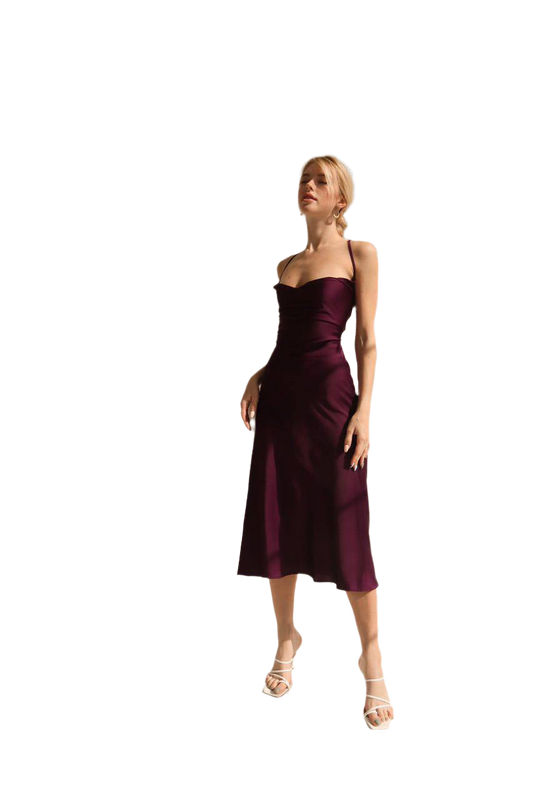 Elegant Silk Combination Dress for Women with Crisscross Back