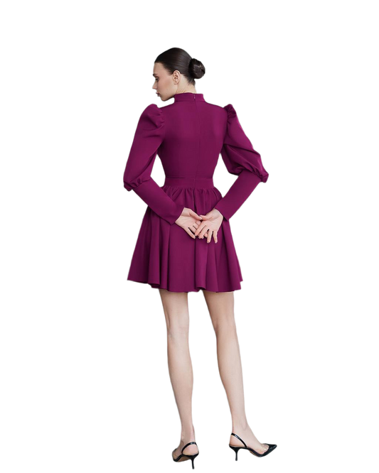 Woman wearing a purple dress on a white background