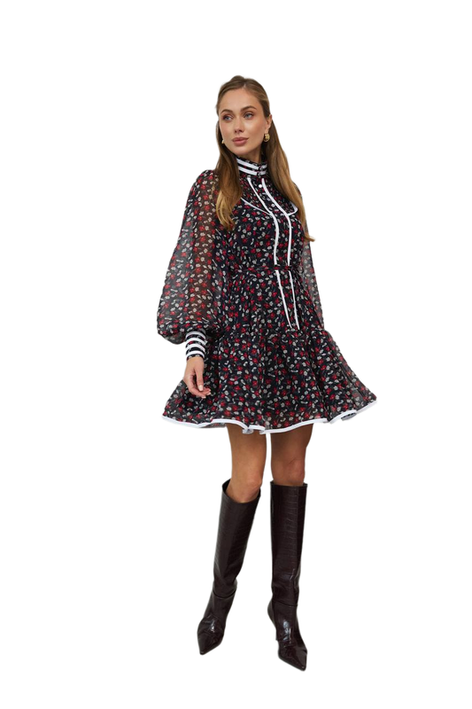 Iriska Women's Chiffon Floral Dress with Lining and Balloon Sleeves
