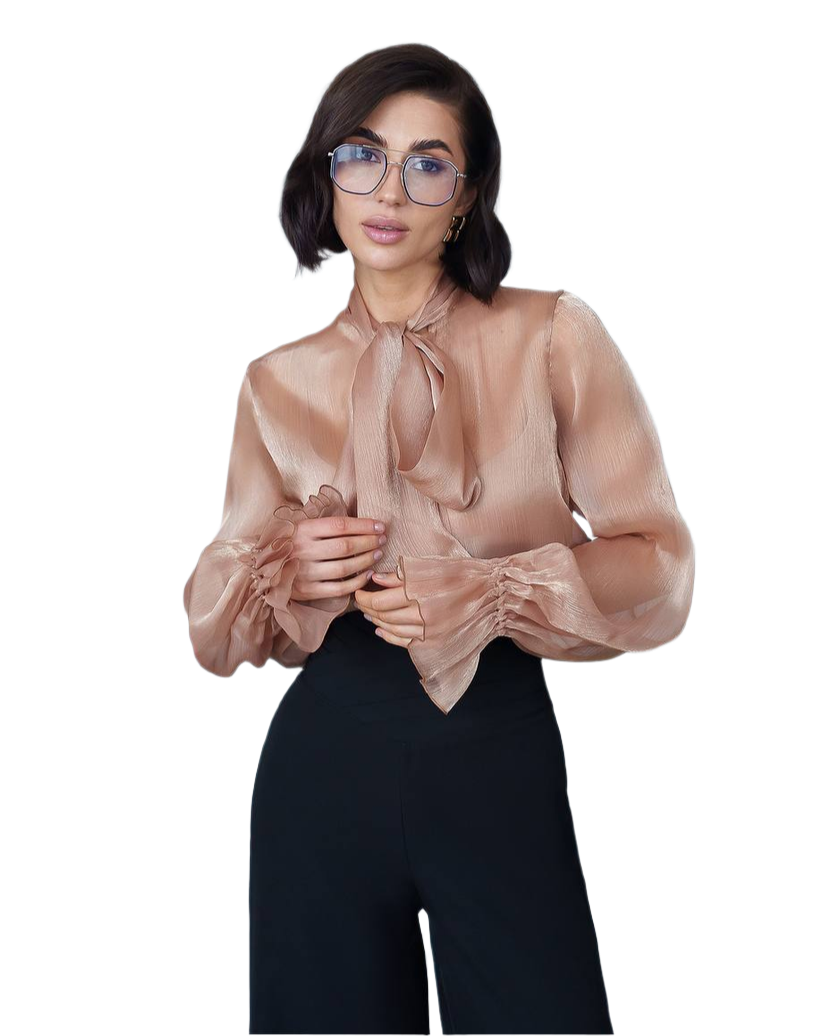 Premium Organza Blouse for Women in Gold Color with Sheer Balloon Sleeves