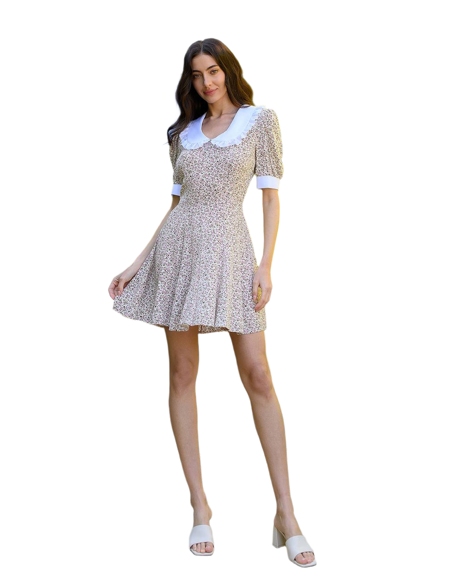 Floral Print Dress with Ruffle Collar and Puff Sleeves for Women
