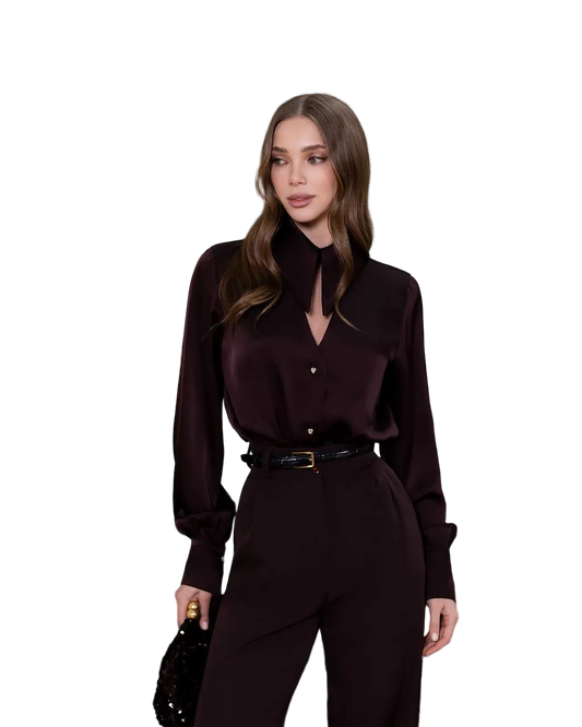 Chocolate Satin Blouse Women Elegant Long Sleeve Silky Top
