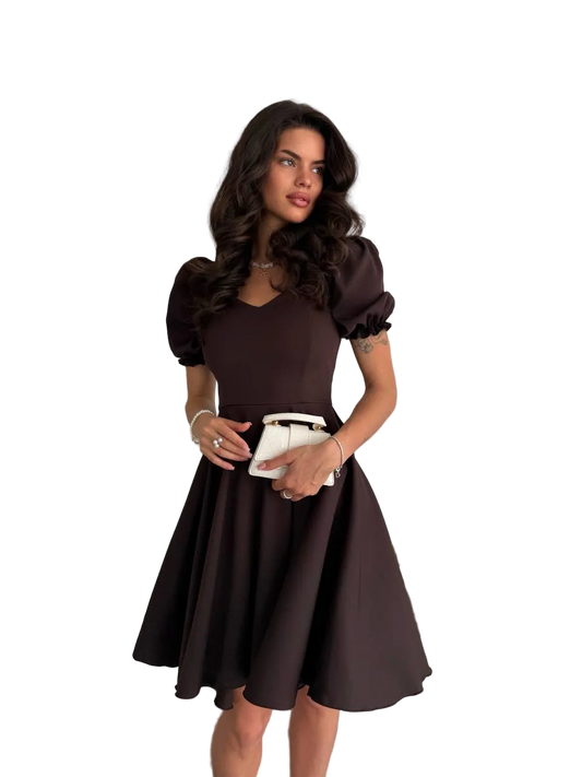 Brown Puff Sleeve Fit and Flare Dress Womens Elegant A Line Knee Length
